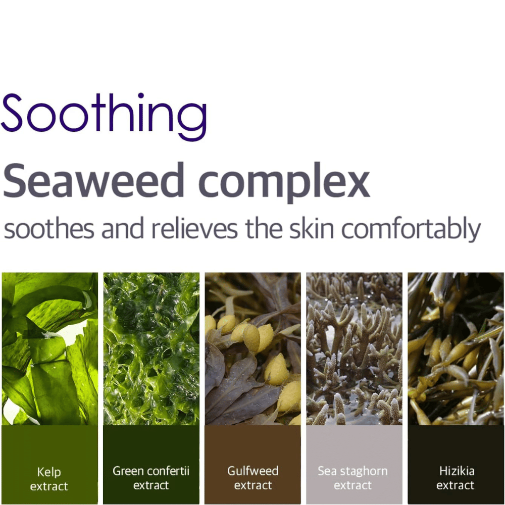Informational image about the Seaweed Complex with various algae and marine extracts that help soothe, cool, and provide comfort to the skin around the eyes.
