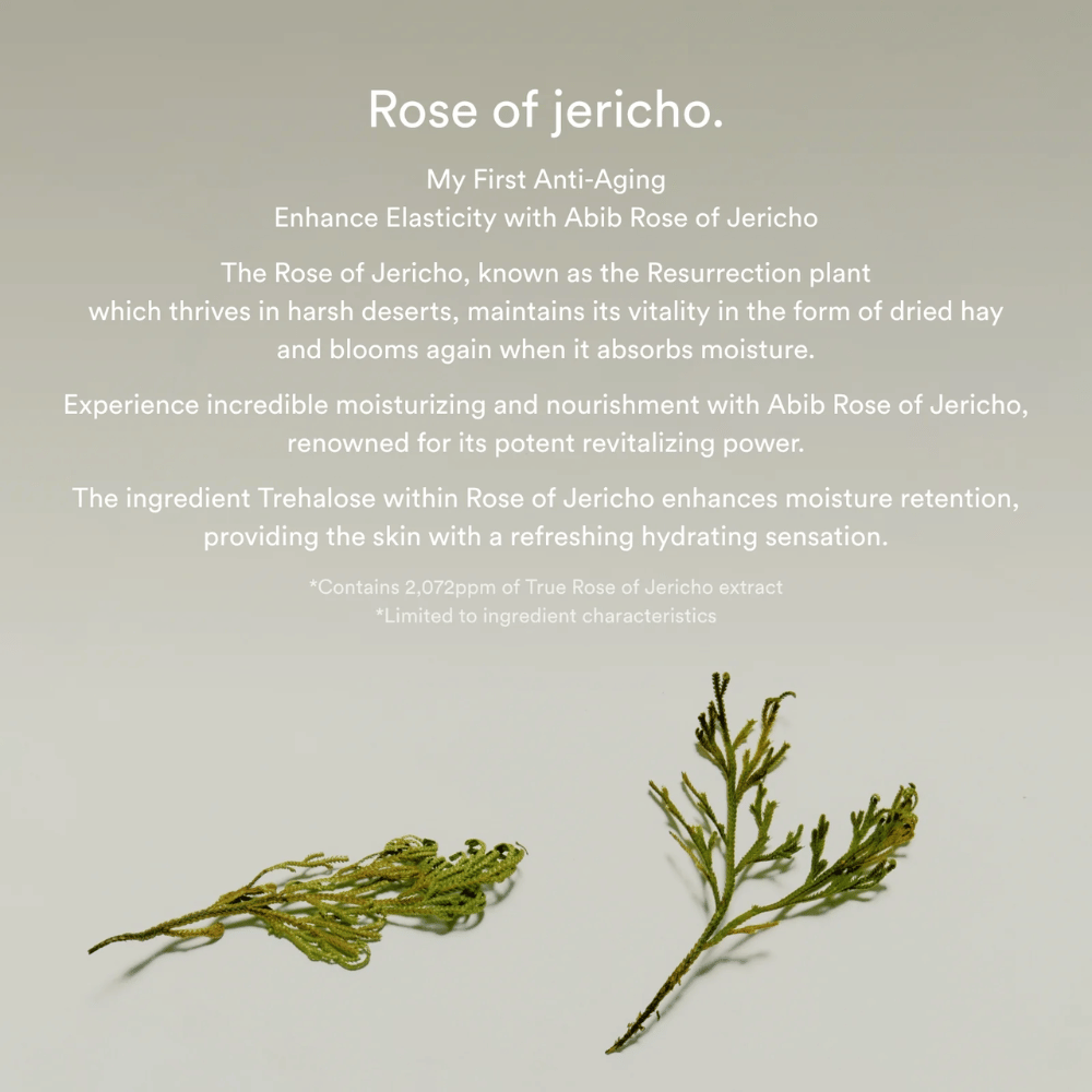 Informational image about Rose of Jericho extract describing the plant's moisturizing and revitalizing properties for the skin.