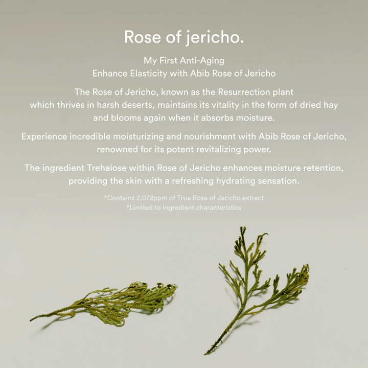 Informational image about Rose of Jericho extract describing the plant's moisturizing and revitalizing properties for the skin.
