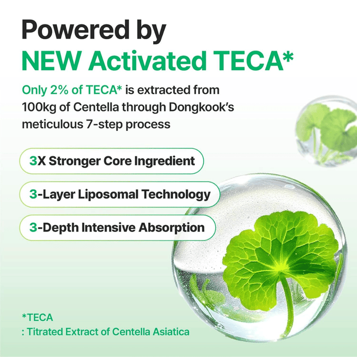 Graphic explaining Activated TECA from Centella Asiatica in Centellian24 Madeca Cream, with liposomal technology that provides deep absorption and strengthens the skin's repair ability.