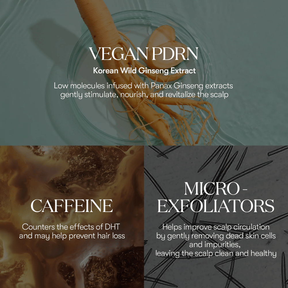 Illustration of active ingredients in PDRN Reedle Shot Hair Ampoule 100dL with vegan PDRN from Korean wild ginseng, caffeine, and micro-exfoliators that care for and revitalize the scalp.