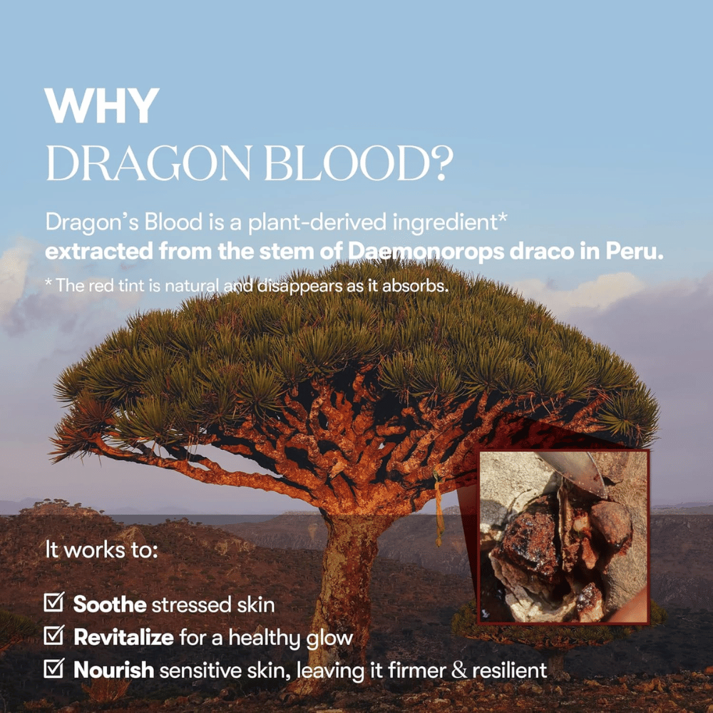 Illustration of the Dragon’s Blood tree (Daemonorops draco) in Peru, an ingredient in VT Red Booster Reedle Shot 100 that soothes stressed skin, strengthens the skin barrier, and gives a healthy glow.